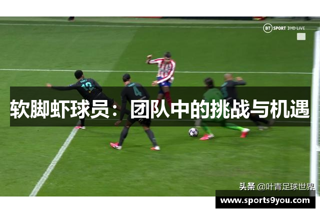 软脚虾球员：团队中的挑战与机遇
