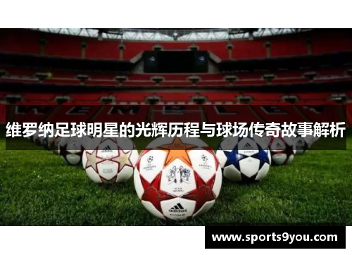 维罗纳足球明星的光辉历程与球场传奇故事解析